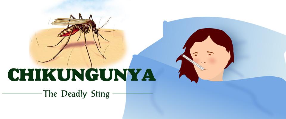 Chikungunya Fever